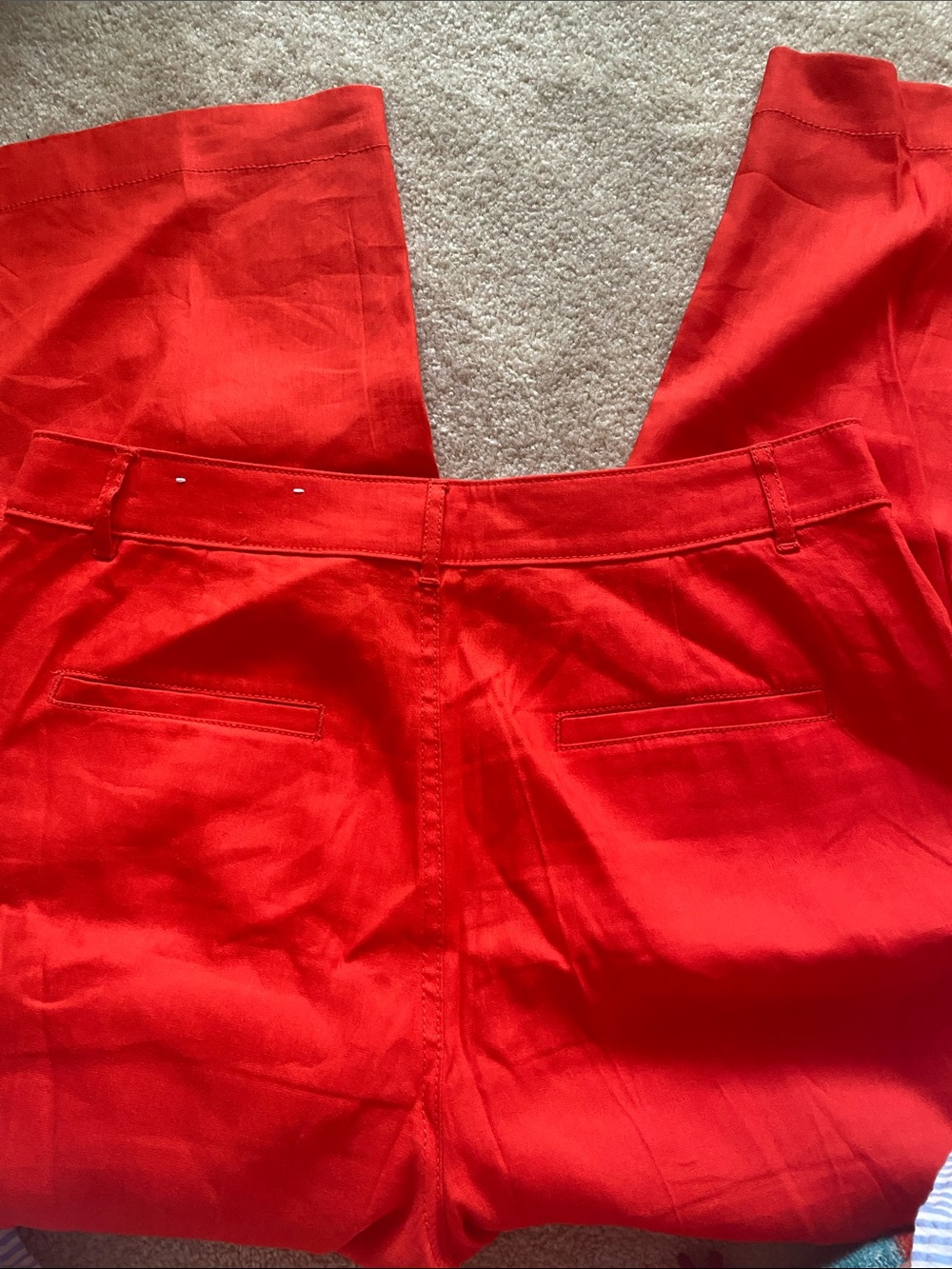 Loft the Palmer wide leg cropped burnt orange size 12 pants - Picture 3 of 7